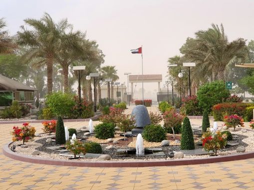Falcon Tour at Abu Dhabi Falcon Hospital-4